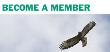 Membership